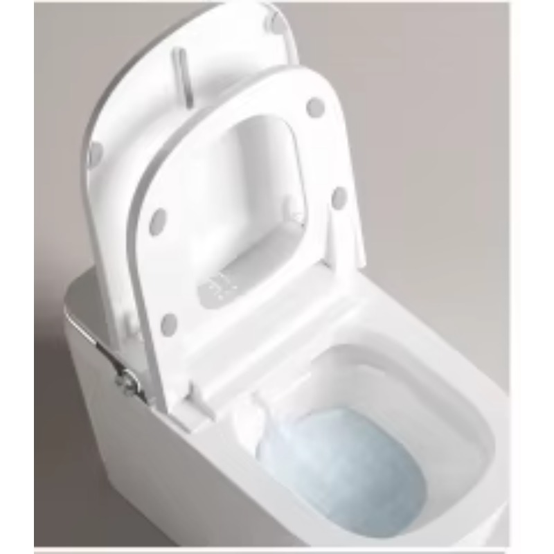 WC Intelligente Bianco con Sed - Home Bathroom recensione e prezzo
